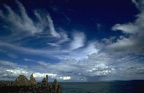 Obrázek 2.3: Cirrus vertebratus